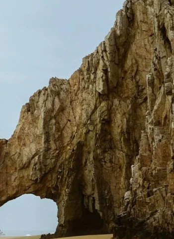 dillon-pena-bq4kVt8X6eQ-unsplash+(1)